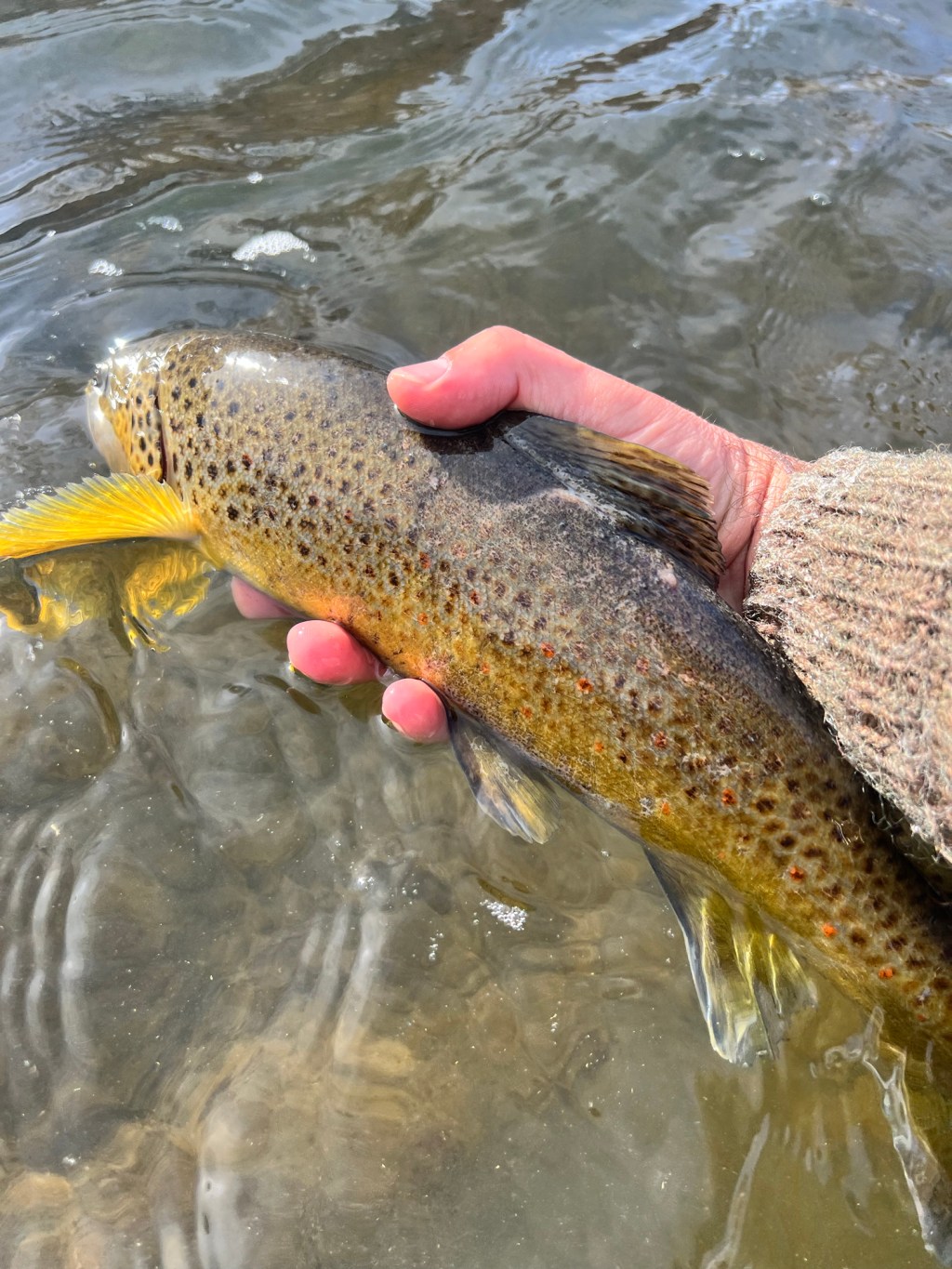 New Year, New&nbsp;Angler