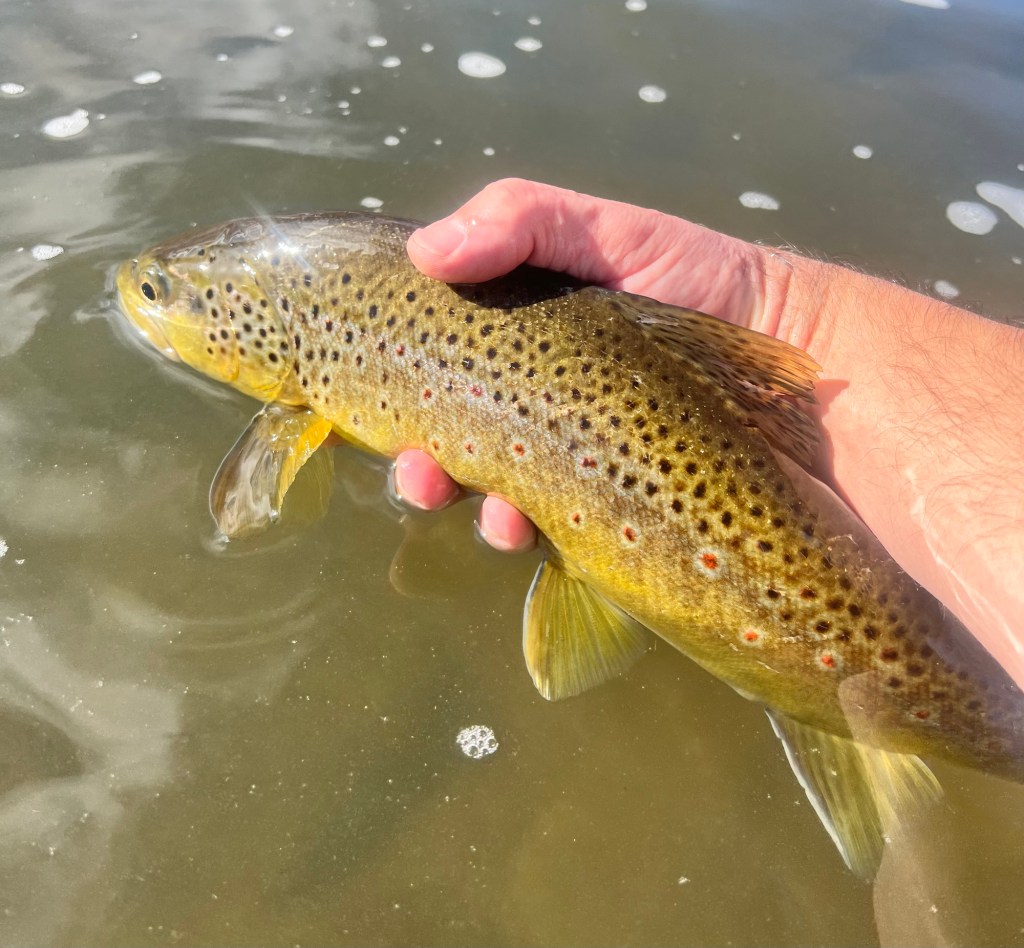 A Day on the&nbsp;Water