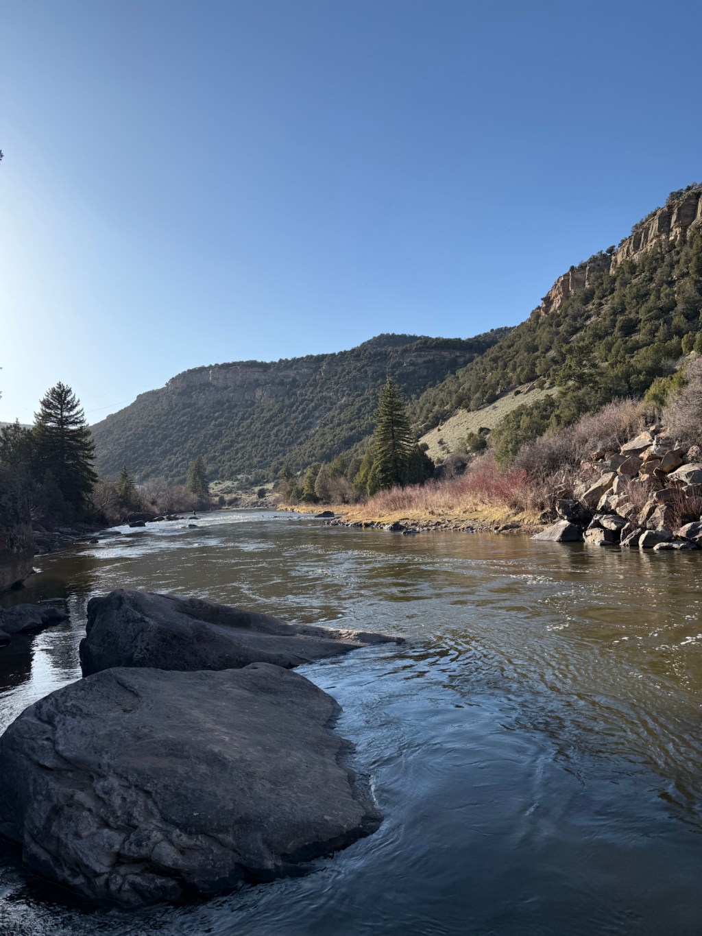 Fishing With a Time&nbsp;Machine