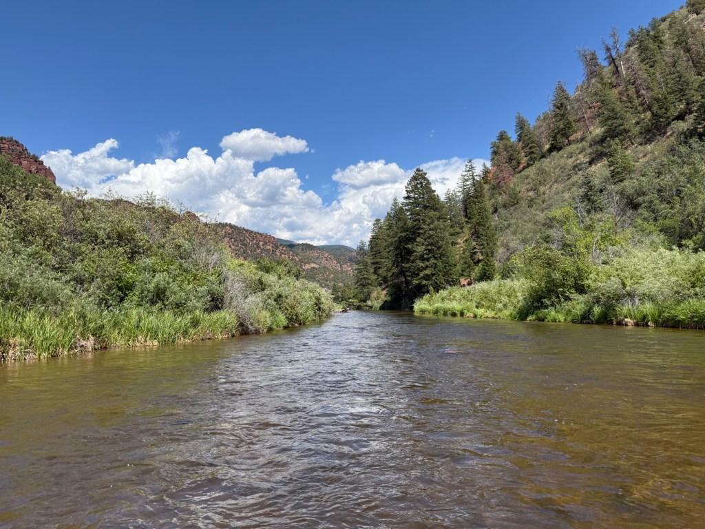 Compliments and Kindness Don’t Cost a&nbsp;Thing