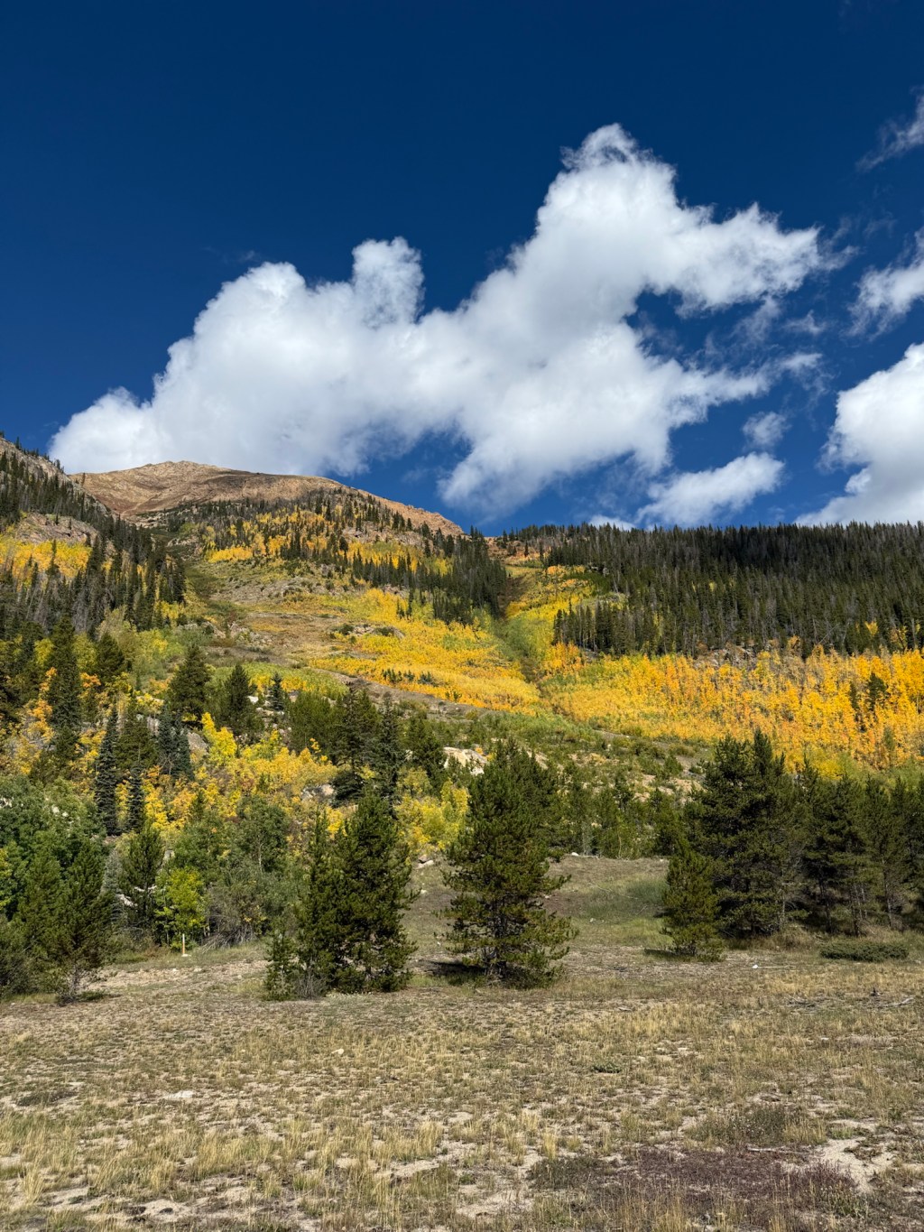 Don’t Take Fall For&nbsp;Granted